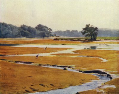 Nový les: řeka Beaulieu (barevné lito) od Walter Frederick Roofe Tyndale