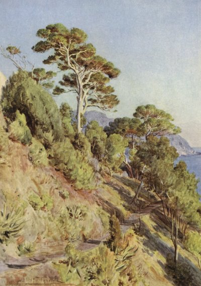 Villa Puma, Sestri Levante od Walter Frederick Roofe Tyndale