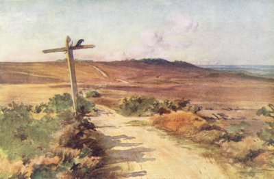 Wessex: Bere Heath na podzim, s Gallows Hill v dálce (barevná litografie) od Walter Frederick Roofe Tyndale