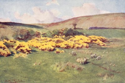 Wessex: Léto ve Wessexu (barevná litografie) od Walter Frederick Roofe Tyndale