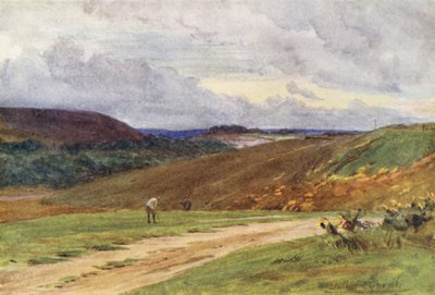Wessex: Broadstone Golf Links, poblíž Poole (barevná litografie) od Walter Frederick Roofe Tyndale