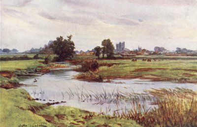 Wessex: Stour, v dálce Wimborne Minster (barevná litografie) od Walter Frederick Roofe Tyndale