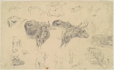 Studie Oxen od Walter Shirlaw