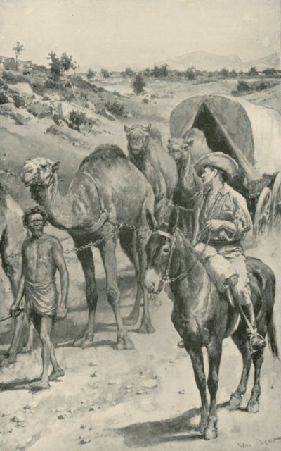 Camel-Caravan, západní Austrálie od Walter Stanley Paget
