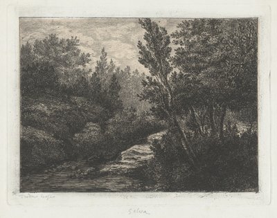 Selva (Woods) od Walter Teodoro Bosio