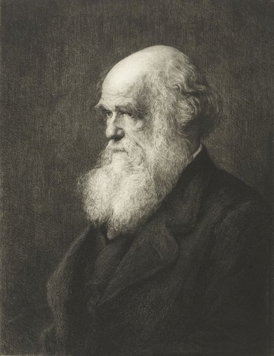 Charles Robert Darwin (rytina) od Walter William (after) Ouless