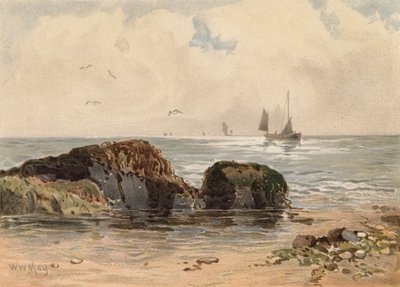 Skály za nízké hladiny vody (barevná litografie) od Walter William May