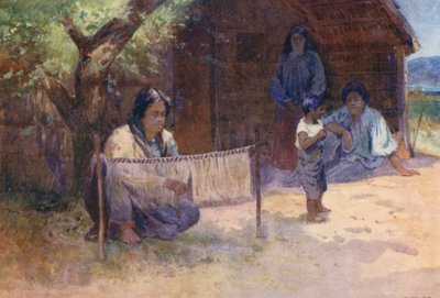 Nový Zéland: (barevná litografie) od Walter Wright