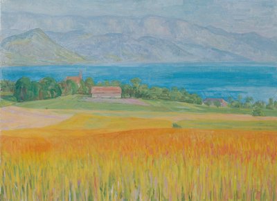 Kornfeld am Attersee od Walther Gamerith