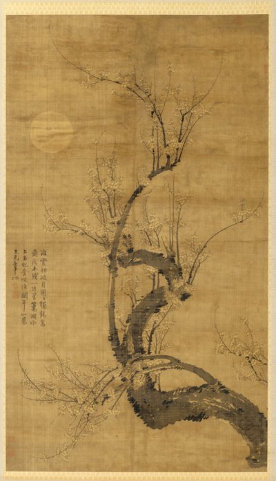 Prunus v měsíčním světle od Wang Mian