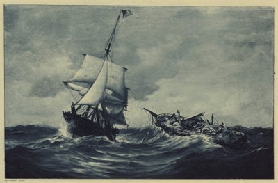 Vosa a dovádění (litho) od Warren Sheppard