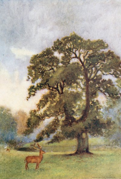  od Warwick (after) Goble