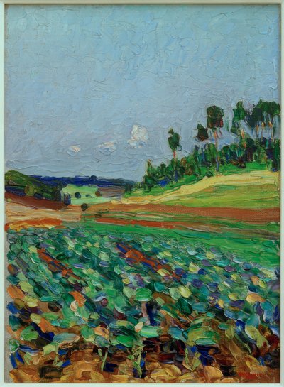 Krajina u Regensburgu od Wassily Kandinsky