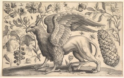 A Griffin, 1625-77. od Wenceslaus Hollar