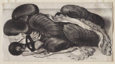  od Wenceslaus Hollar