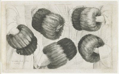 Muff v pěti pohledech, 1645-1646 od Wenceslaus Hollar