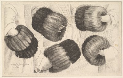 Muff v pěti pohledech, 1645-46. od Wenceslaus Hollar