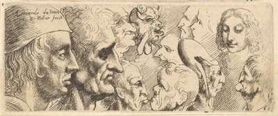 Různé hlavy, 1625-77. od Wenceslaus Hollar