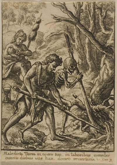 Adam Orat od Wenceslaus Hollar