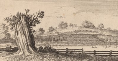 Albury, 1645. od Wenceslaus Hollar