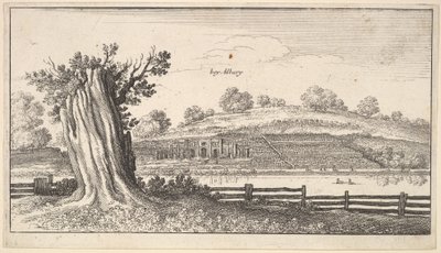 Albury s pařezem v popředí, 1625-77. od Wenceslaus Hollar