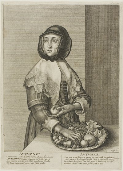 Podzim od Wenceslaus Hollar