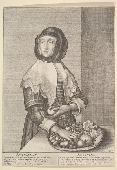 Podzim - Podzim Tříčtvrteční sezóny, 1641. od Wenceslaus Hollar