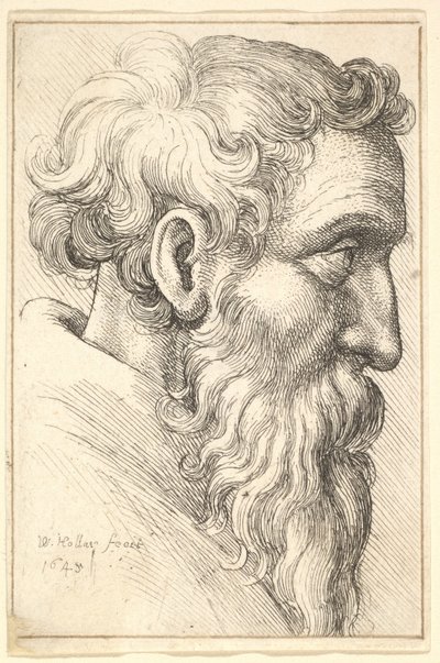  od Wenceslaus Hollar