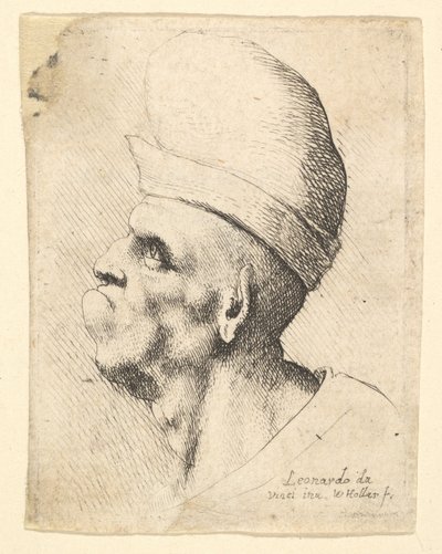 Busta zdeformovaného muže s baňatým kloboukem z profilu vlevo, 1625-77. od Wenceslaus Hollar
