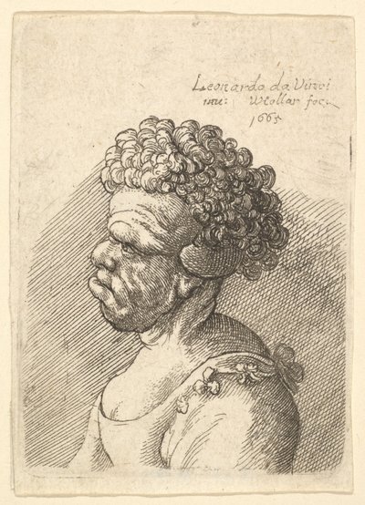 Busta zdeformované ženy s kudrnatými vlasy z profilu vlevo, 1665. od Wenceslaus Hollar