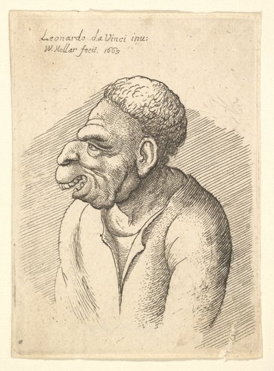 Busta muže s hákovým nosem, výrazným horním rtem, otevřenými ústy a krátkými kudrnatými vlasy..., 1665. od Wenceslaus Hollar