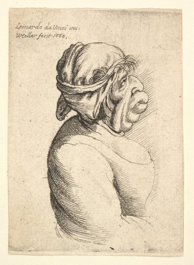Busta ženy s vyčnívajícími ústy v hlubokých šatech a kolem hlavy uvázanou látkou..., 1660. od Wenceslaus Hollar