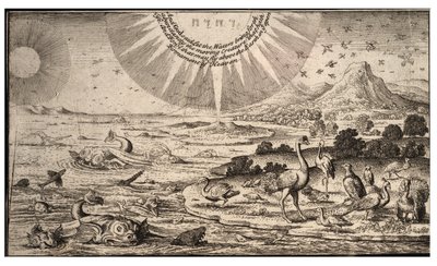 Tvorba ptáků a ryb. stát 1 od Wenceslaus Hollar