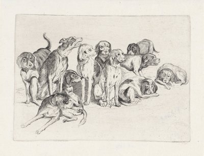 Jedenáct loveckých psů od Wenceslaus Hollar