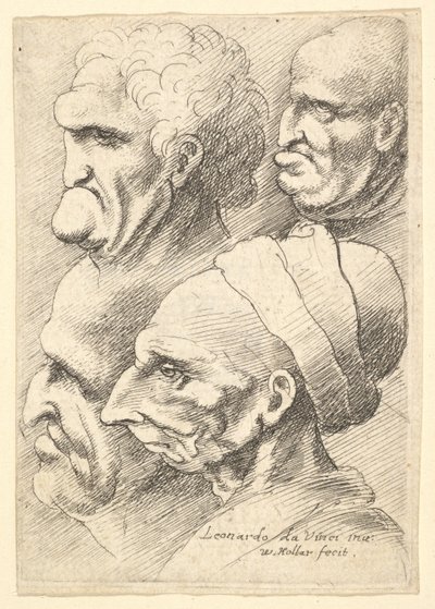 Čtyři groteskní hlavy z profilu vlevo, 1625-77. od Wenceslaus Hollar