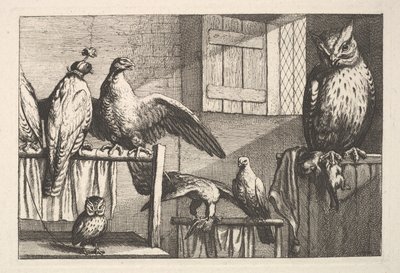 Jestřábi a sovy, 1625-77. od Wenceslaus Hollar