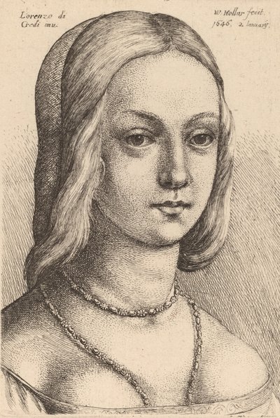 Hlava ženy hledá správně. od Wenceslaus Hollar