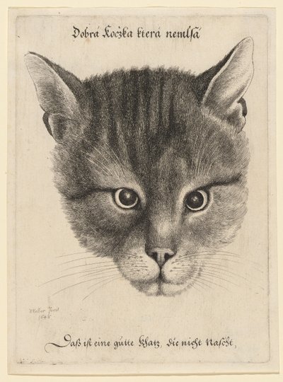 od Wenceslaus Hollar