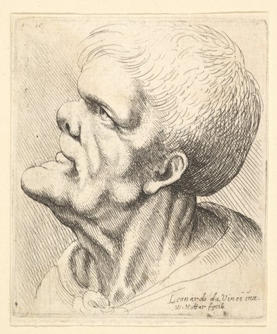 Hlava muže s vyčnívající bradou a tupým nosem hledícím nahoru z profilu vlevo, 1625-77. od Wenceslaus Hollar