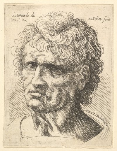 Hlava muže s vážným výrazem, 1625-77. od Wenceslaus Hollar