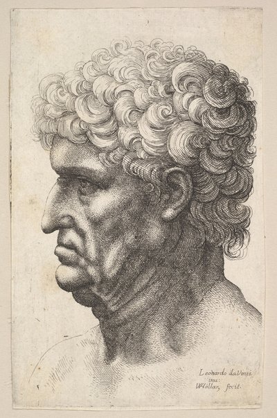 Hlava muže s hustými kudrnatými vlasy z profilu vlevo, 1640-49. od Wenceslaus Hollar