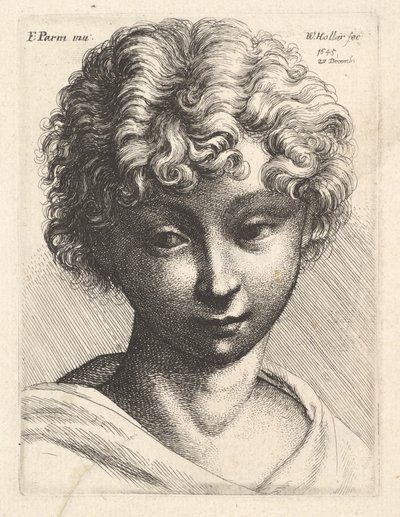 Hlava mladé dívky, 1645. od Wenceslaus Hollar