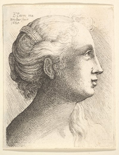 Hlava mladé ženy z profilu vpravo, 1645. od Wenceslaus Hollar