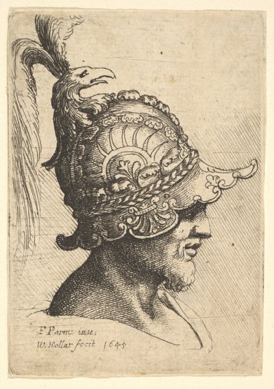 Hlava s přilbou s hřebenem ptačí hlavy, 1645. od Wenceslaus Hollar