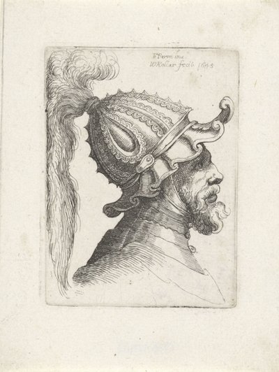 Hlava muže s opeřenou helmou Vydejte se s helmami do Parmigianina (název série) od Wenceslaus Hollar