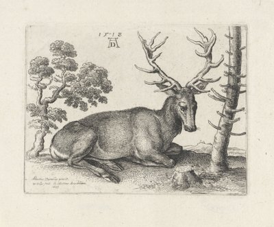 Ležící jelen, vpravo od Wenceslaus Hollar