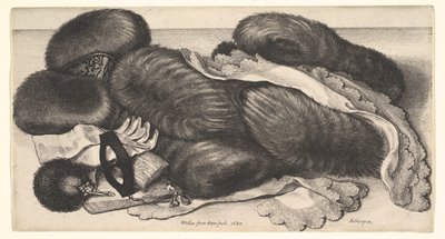  od Wenceslaus Hollar