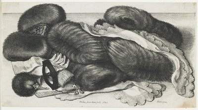 Rukávy a oděvy na stole, 1647 od Wenceslaus Hollar