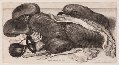 Zátiší s rukávníky, rukavicemi a šátky od Wenceslaus Hollar