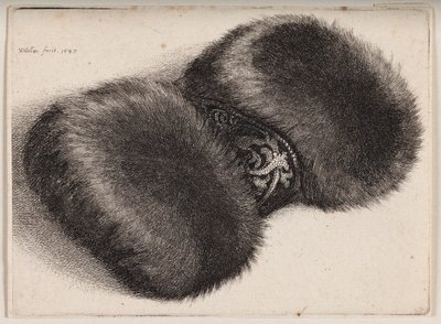  od Wenceslaus Hollar
